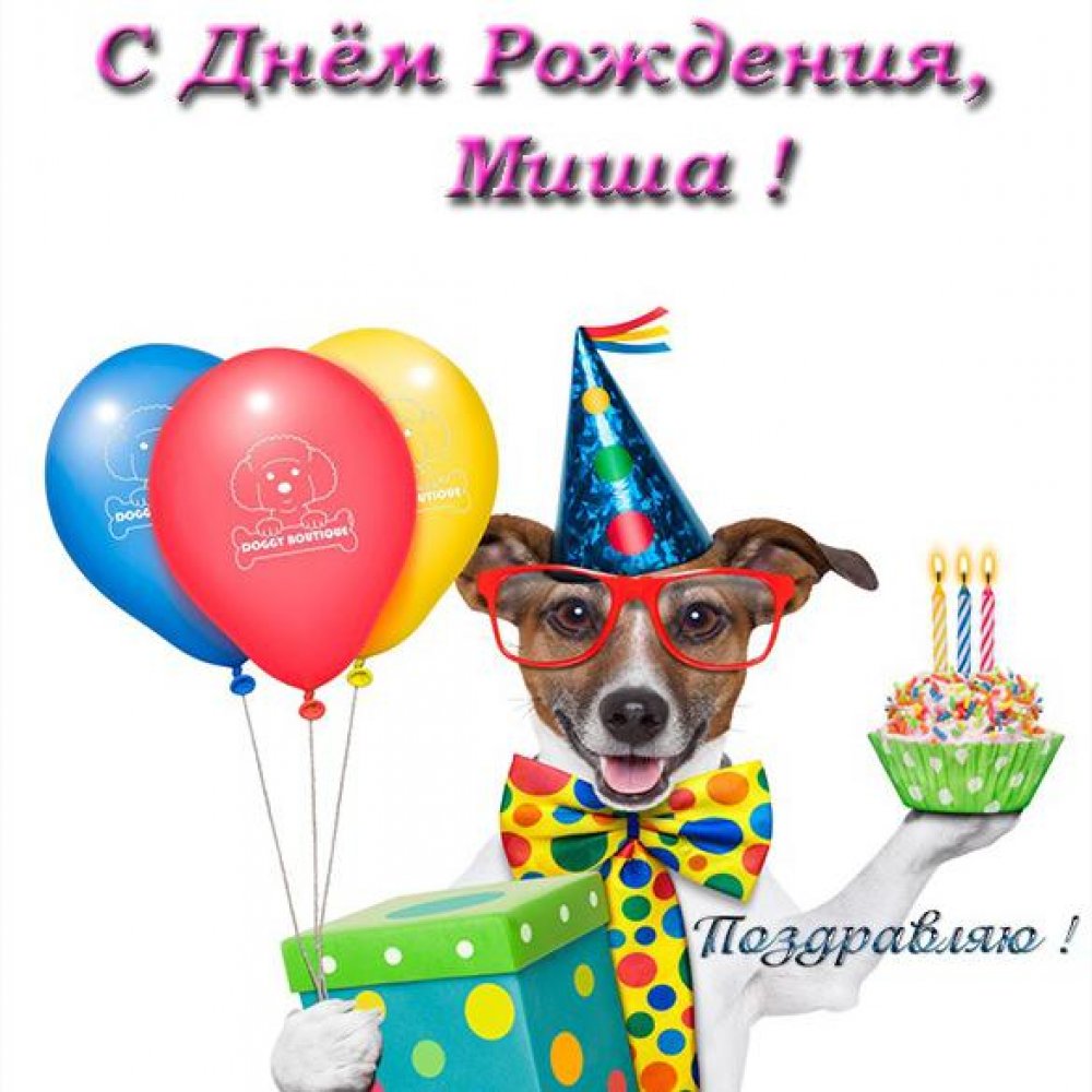 Прикольная открытка с днем рождения Миша