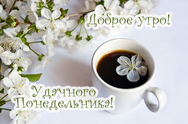 Чашка кофе и цветы на ветках