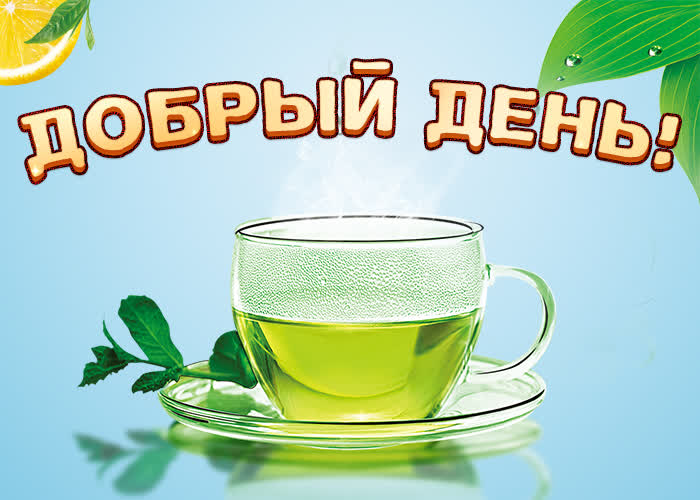 Картинка добрый день с зеленым чаем
