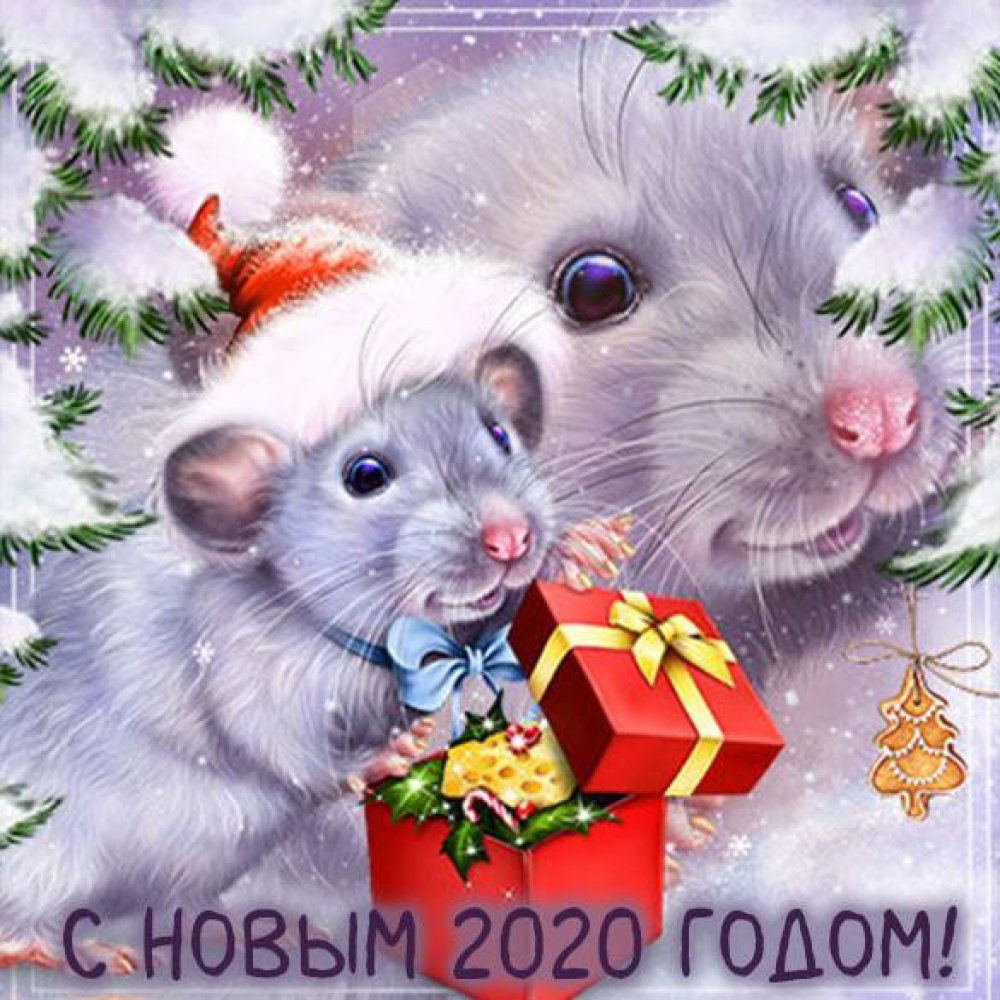 Бесплатная картинка новогодняя на 2020 год с крысой
