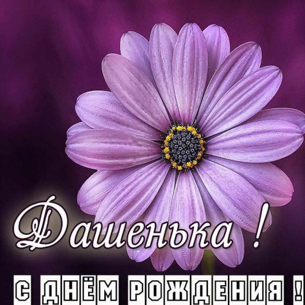 Бесплатная красивая картинка с днем рождения Дашенька