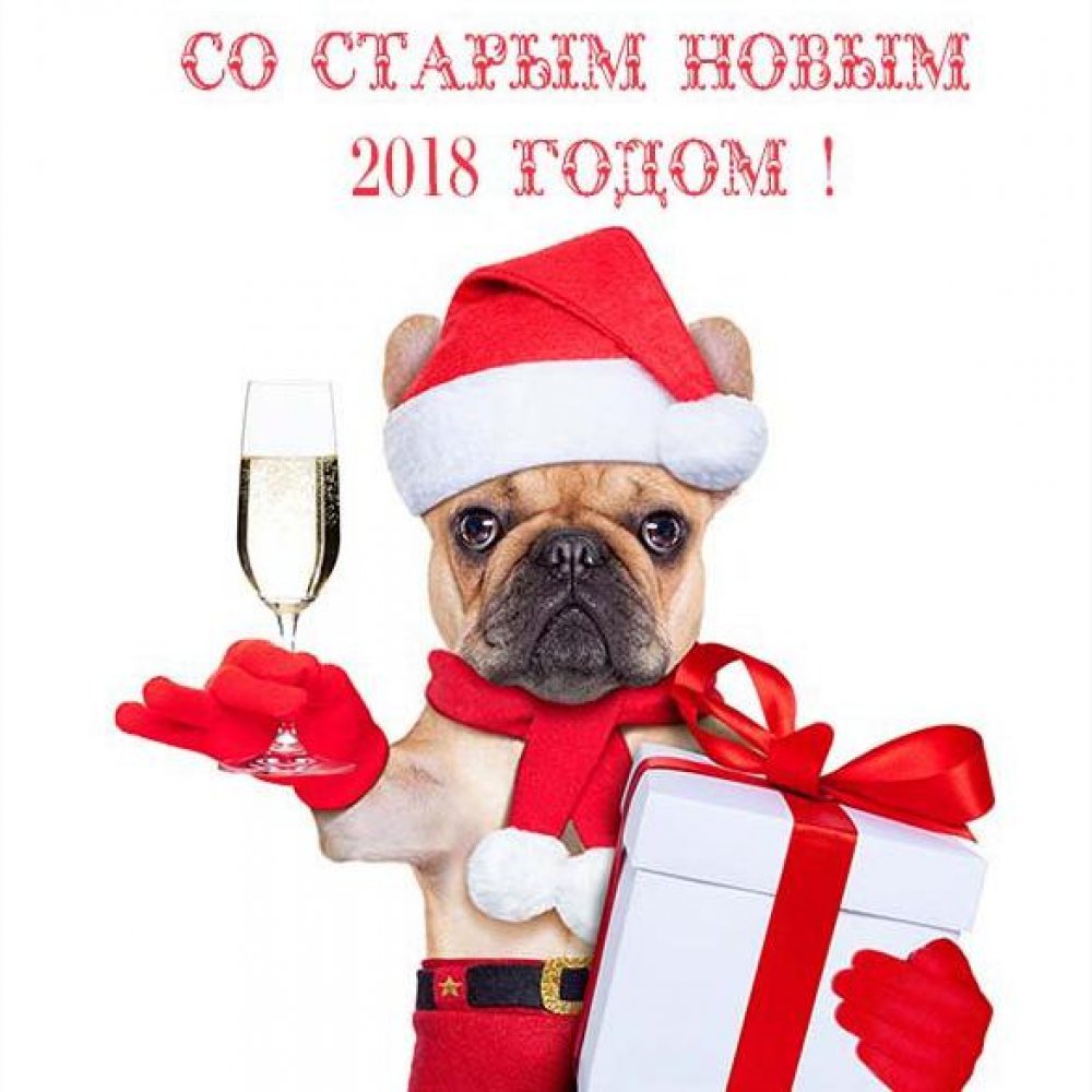 Бесплатная открытка со Старым Новым Годом собаки