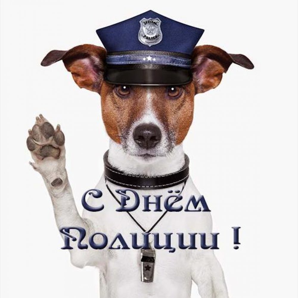 Прикольная открытка на праздник день полиции
