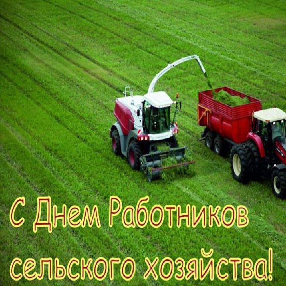 Картинка на день работника сельского хозяйства