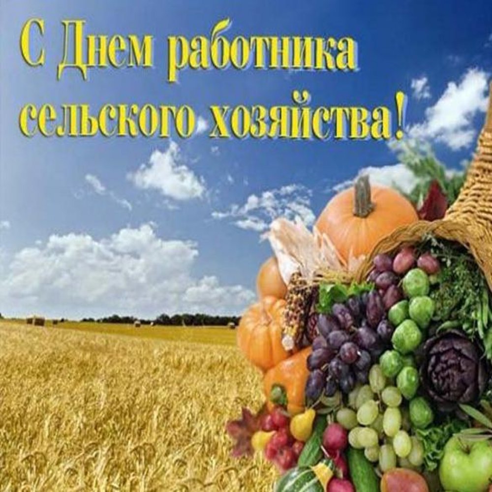 Красивая открытка на день работника сельского хозяйства