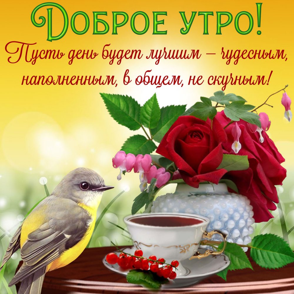 Открытка на доброе утро с птичкой и розами