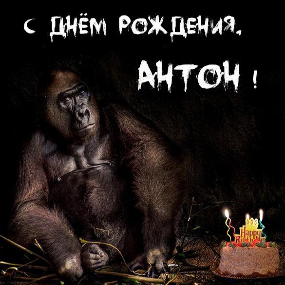 Прикольное фото с днем рождения Антон Версия 2