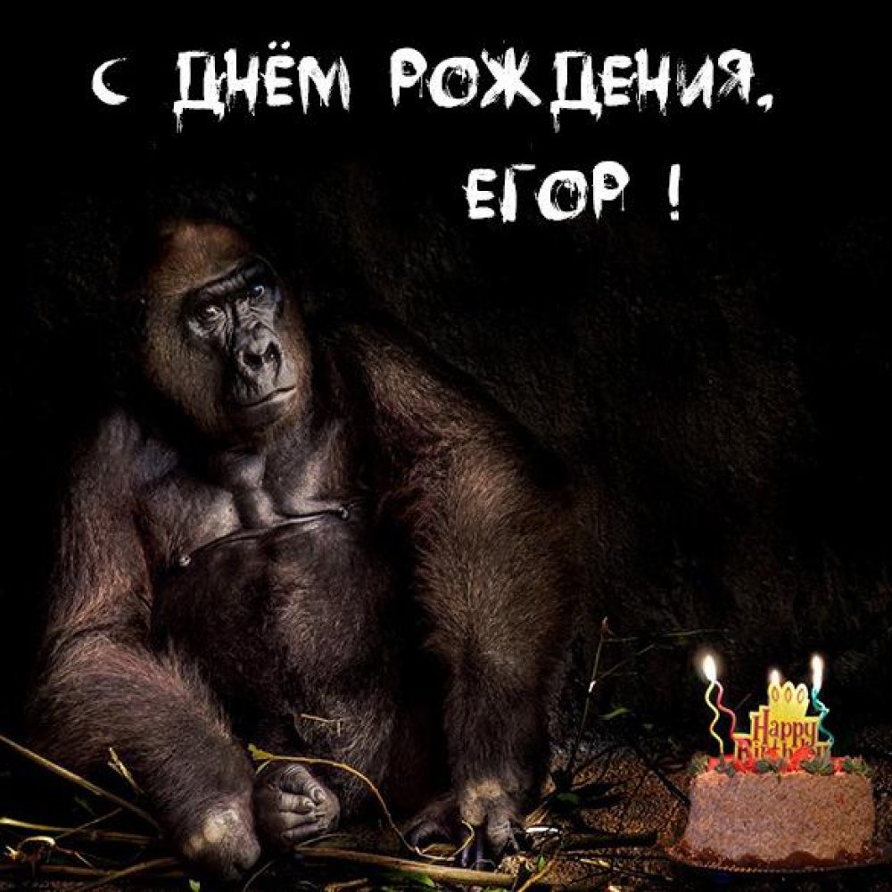 Прикольное фото с днем рождения Егор Версия 2