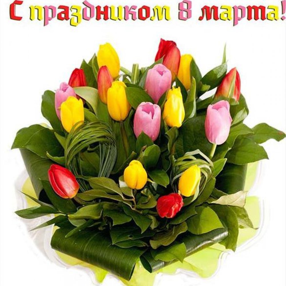 Картинка к 8 марта с тюльпанами