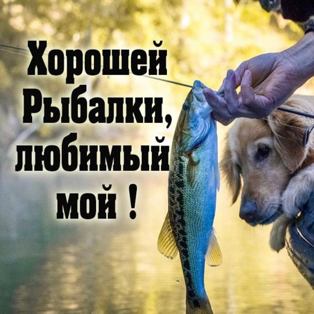 Картинка хорошей рыбалки любимый
