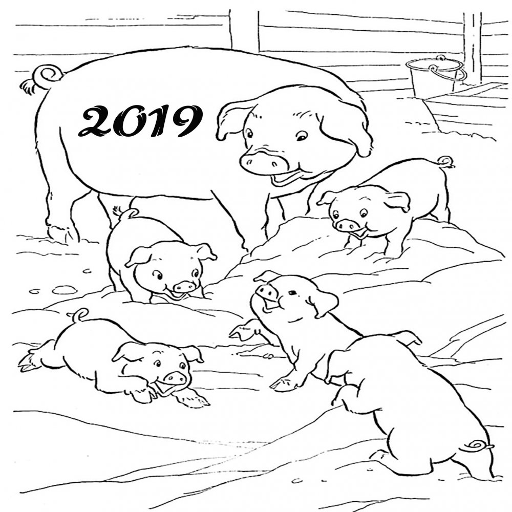 Картинка раскраска на новый год с символом поросятами