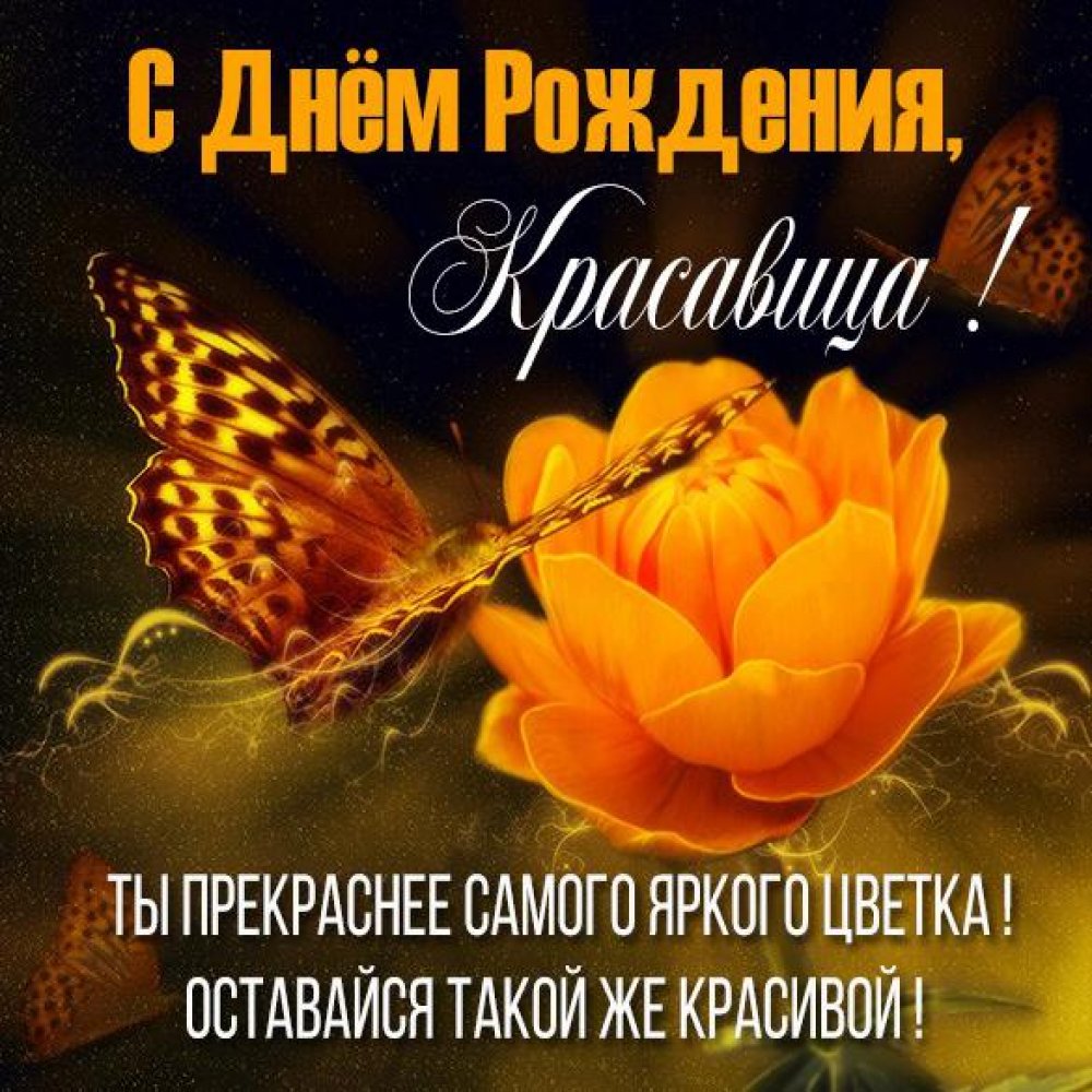 Картинка с днем рождения с цветами и бабочками