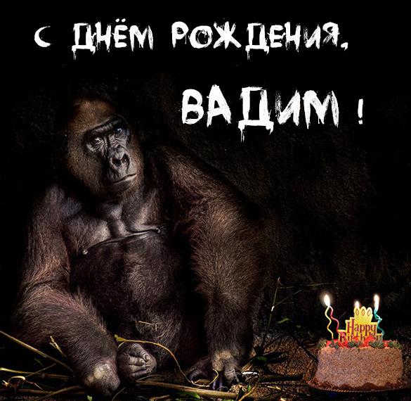 Прикольная картинка с днем рождения Вадиму