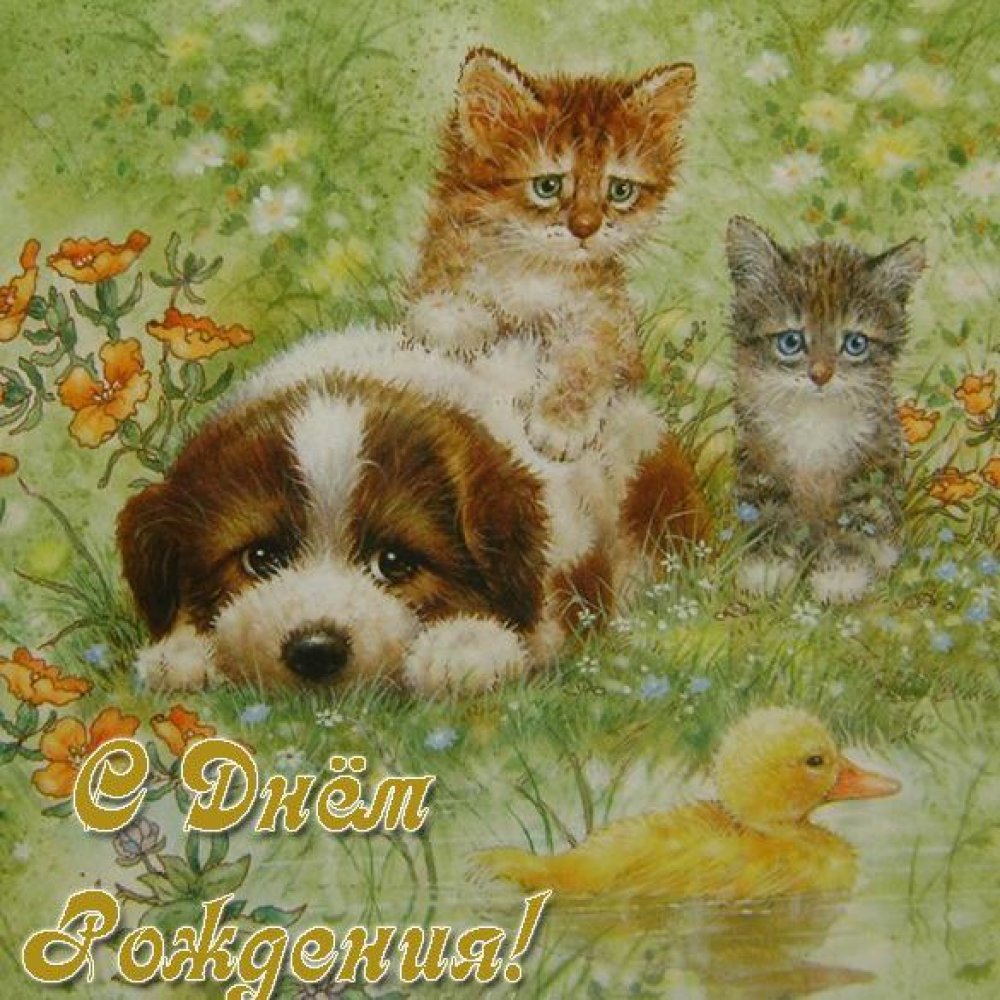 Красивая открытка с днем рождения с животными