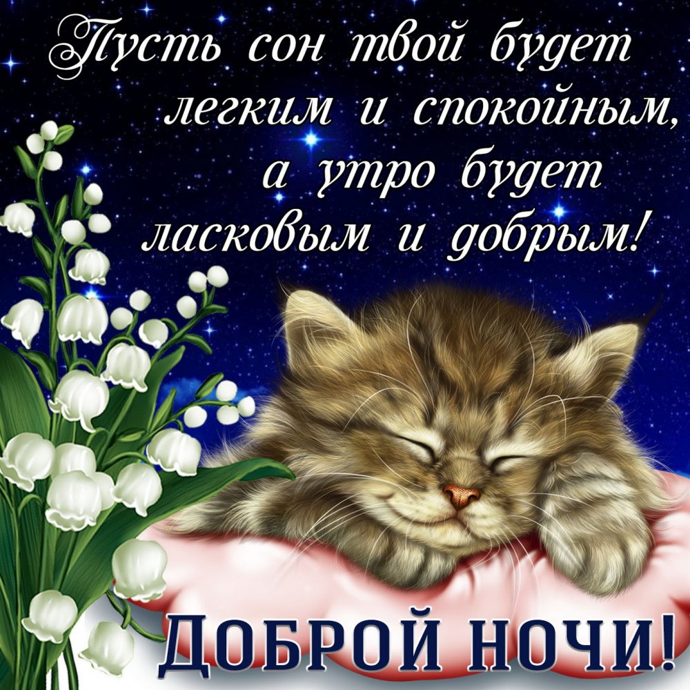 Картинка со спящим котиком и пожеланием доброй ночи
