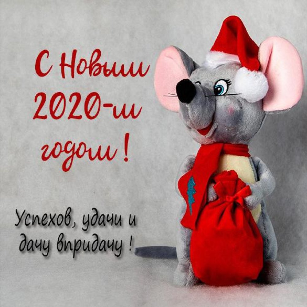 Новогодняя открытка с крысой на 2020 год