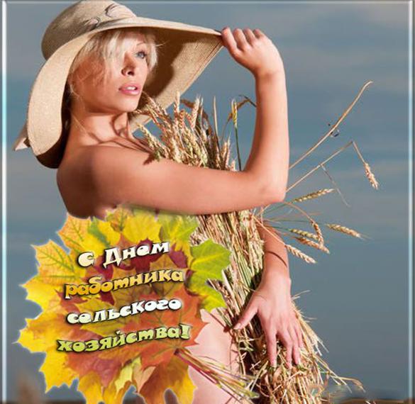 Электронная открытка на день сельского хозяйства