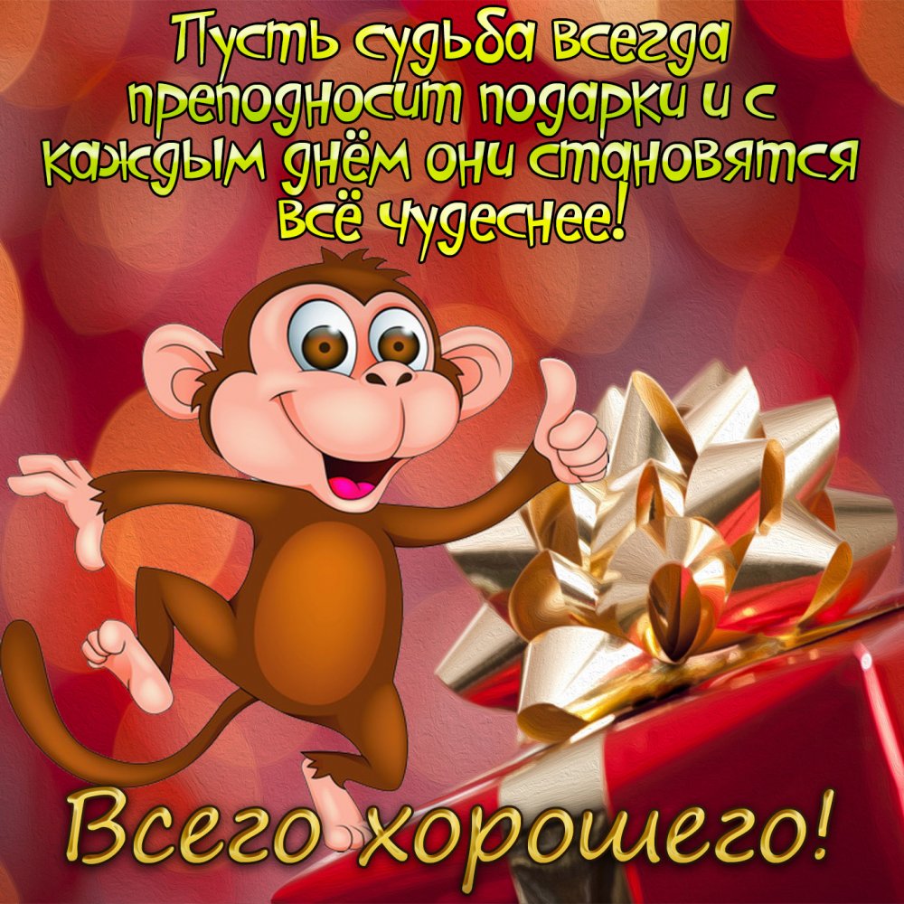 Яркая картинка с обезьянкой и подарком