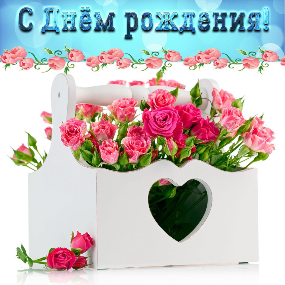 Картинка с розами на День рождения девушке