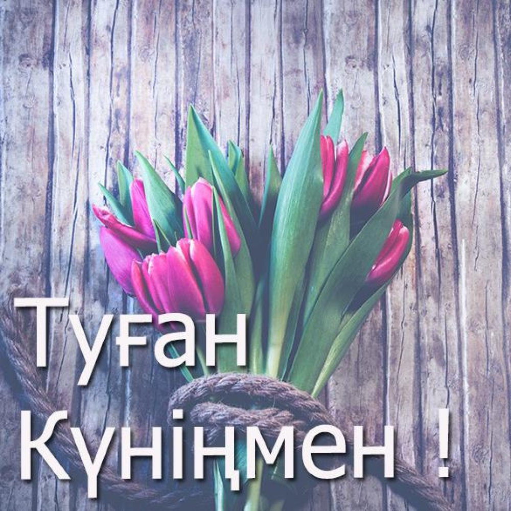 Вы искали » поздравления с дне рождения на казахском языке