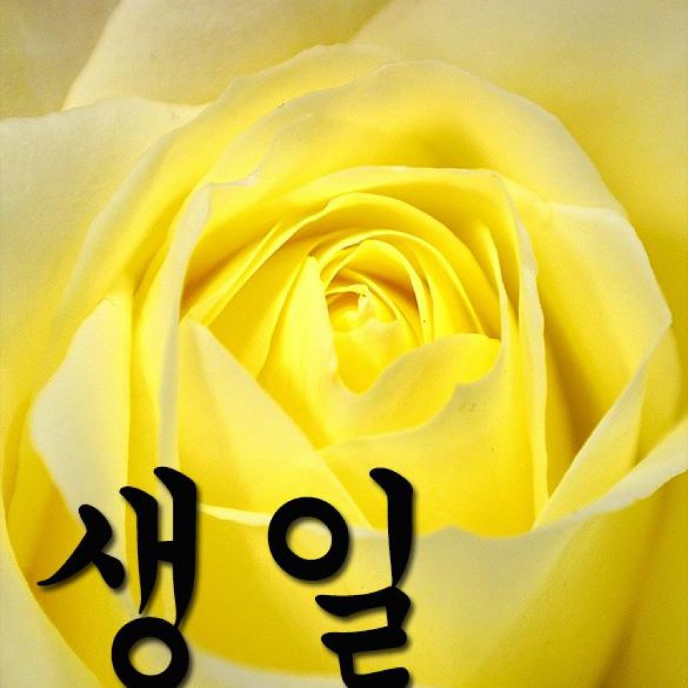 Открытка на день рождения на корейском