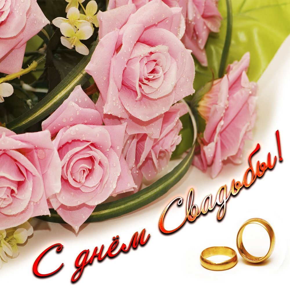 Открытка с розами и кольцами на свадьбу