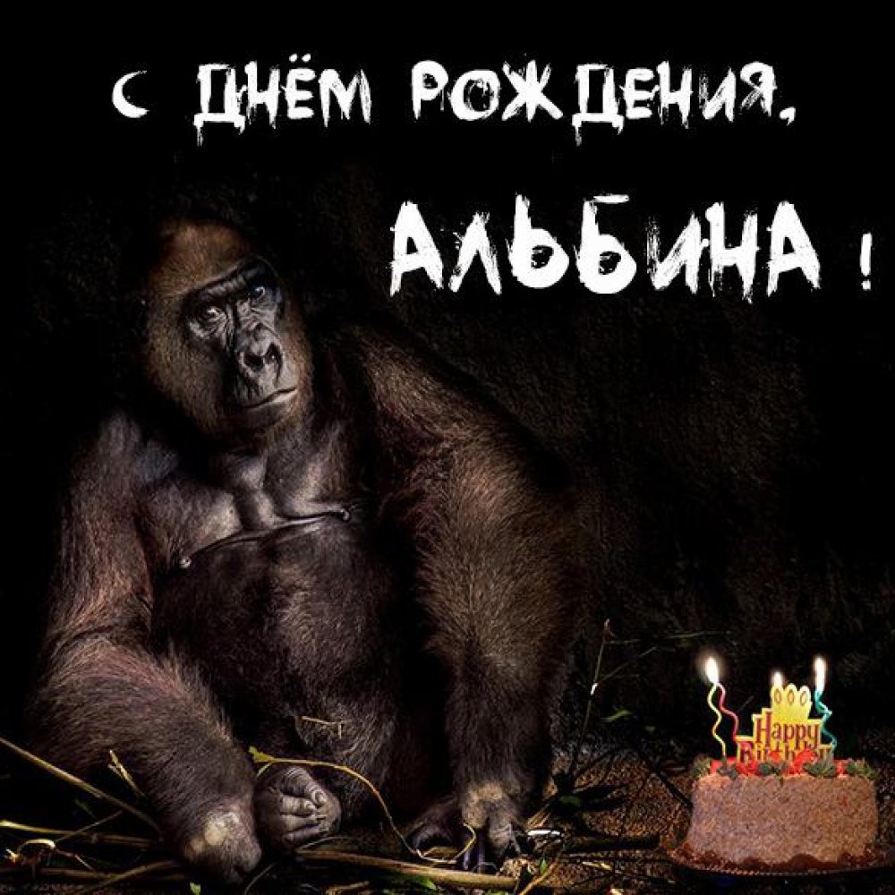 Прикольная открытка с днем рождения для Альбины Версия 2