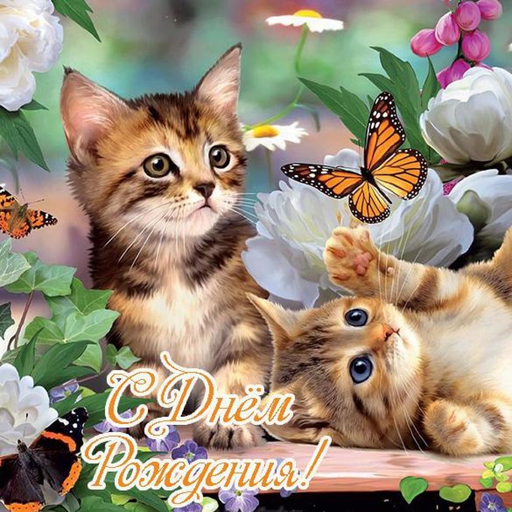 Красивая открытка с днем рождения с котиками