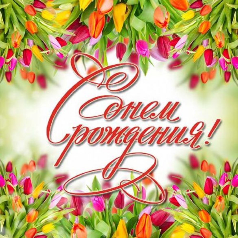 Открытка с днем рождения женщине с цветами тюльпанами