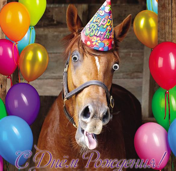 Открытка с днем рождения с лошадью