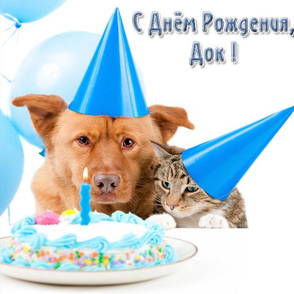 Открытка с днем рождения ветеринару