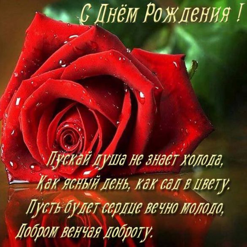 Открытка с днем рождения женщине с красивыми розами