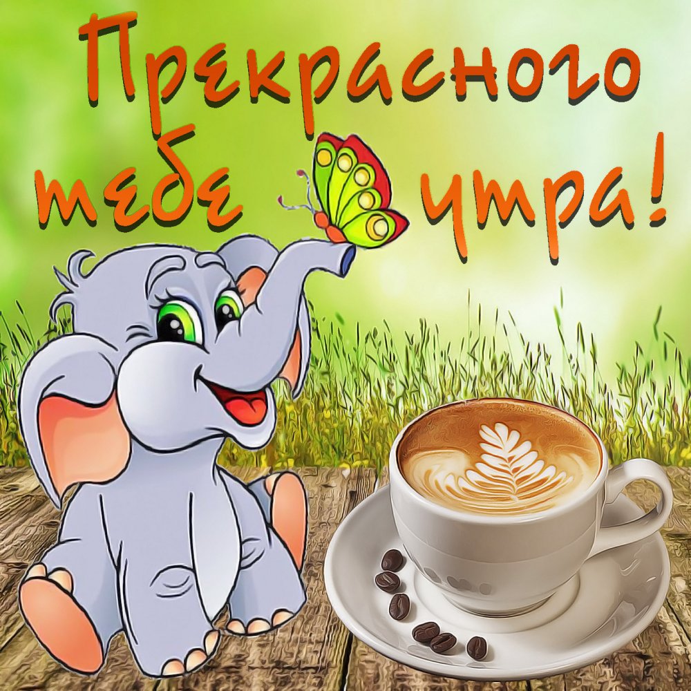 Картинка со слонёнком и чашечкой кофе