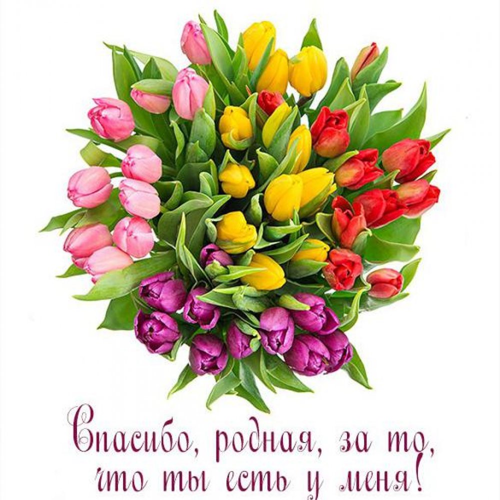 Открытка с тюльпанами для мамы