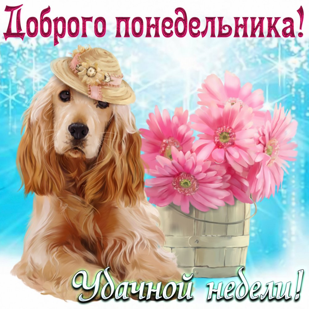 Собачка в шляпке и корзина с цветами