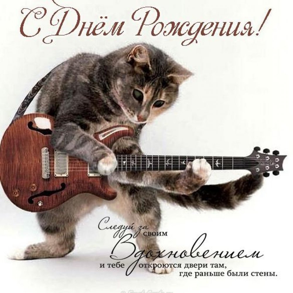 Поздравительная открытка с днем рождения с котами