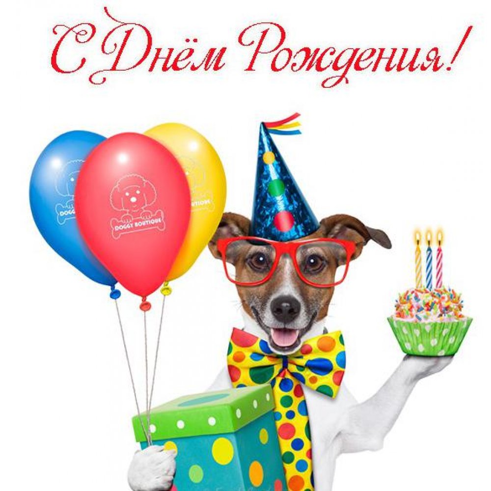 Поздравительная открытка с днем рождения с собаками