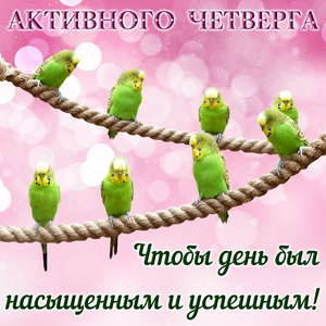 Зеленые попугайчики на веревке