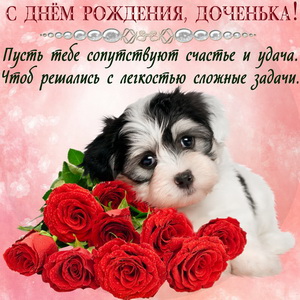 Милая собачка с букетом красных роз