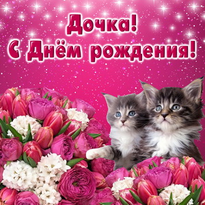 Забавные котята на сияющем фоне с цветами
