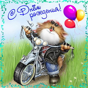 Картинка на День рождения с котиком на мотоцикле