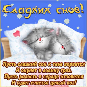Открытка с котиками в кроватке желающими сладких снов