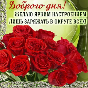 Открытка с яркими розами и пожеланием доброго дня