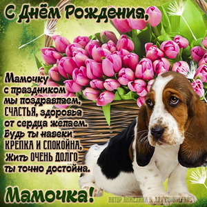 Картинка для мамочки с собачкой и тюльпанами