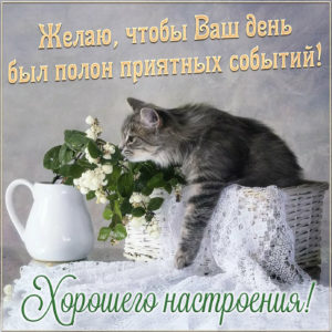 Котик на открытке желает хорошего настроения