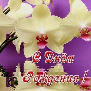 Красивая открытка с днем рождения женщине с орхидеями