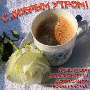 Открытка с белой розой и чашкой кофе
