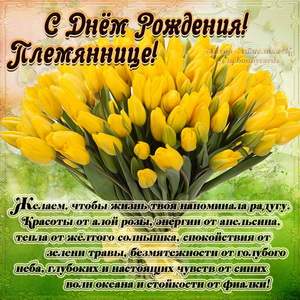 Картинка для племянницы с букетом желтых тюльпанов