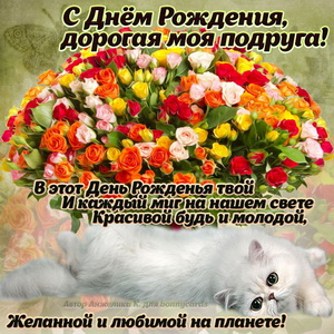 Картинка для подруги с котиком и букетом цветов
