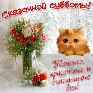 Картинка с котиком и букетом цветов